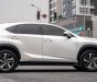 Lexus NX 300 2019 - Hỗ trợ vay tối đa 70% xe