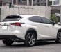 Lexus NX 300 2019 - Hỗ trợ vay tối đa 70% xe