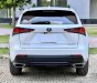Lexus NX 300 2019 - GIÁ 1 tỷ 790 tr