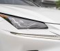 Lexus NX 300 2019 - Hỗ trợ vay tối đa 70% xe
