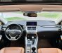 Lexus NX 300 2019 - GIÁ 1 tỷ 790 tr