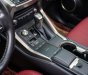 Lexus NX 300 2019 - Hỗ trợ vay tối đa 70% xe