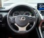 Lexus NX 300 2019 - Hỗ trợ vay tối đa 70% xe