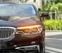 BMW 530i 2018 - 🇩🇪BMW 530i Luxury Line