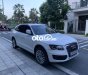 Audi Q5 Bani xe   2011 - Bani xe Audi Q5