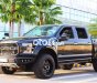 Ford F 150  F150 Platinum 2015 Xe Cực Chất 2015 - Ford F150 Platinum 2015 Xe Cực Chất