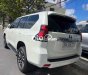 Toyota Land Cruiser Prado   2023 SIÊU MỚI 2023 - TOYOTA LAND CRUISER PRADO 2023 SIÊU MỚI