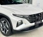 Hyundai Tucson 2023 -  TUCSON ALL NEW 2023 