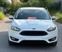 Ford Focus 2019 - Odo 5v km