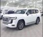 Toyota Land Cruiser 2023 - TOYOTA LAND CRUISER LC300