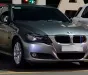 BMW 320i 2009 - (BMW 3 Series 320i 2009)