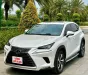 Lexus NX 300 2020 - Lexus NX300 - 2020 - 39.000 Km