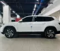 Volkswagen Teramont 2022 - MẪU XE GIỚI HẠN NĂM 2024 - TERAMONT LIMITED EDITION 