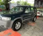 Ford Escape 2004 - Ford Escape 2004 Xanh lá 2 chỗ tự động, xe đẹp, giá rẻ