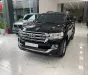 Toyota Land Cruiser 4.6 V8 2019 - Bán Toyota Land Cruiser 4.6 V8, sản xuất 2019, lăn bánh hơn 6 vạn Km.