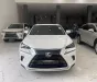 Lexus NX 300 2019 - Chính chủ bán Lexus NX300 mode 2019, sơn zin cả xe, full lịch sử hãng