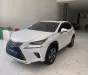 Lexus NX 300 2019 - Chính chủ bán Lexus NX300 mode 2019, sơn zin cả xe, full lịch sử hãng