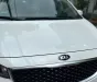 Kia Sedona 2016 - Kia Sedona SX 2016 Bản Full Xăng Cao Cấp 