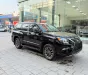 Lexus GX 460 Nhập Mỹ 2010 - Bán Lexus GX460 2010 nhập Mỹ, bản full, lên fom 2021, có hoán cải.