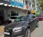 Audi Q7 2010 - BÁN XE  AUDI Q7 3.6 AT 2010 SẢN XUẤT 2010