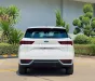 Ford Territory 2025 - FORD TERRITORY 2025 – SUV CÔNG NGHỆ DẪN ĐẦU PHÂN KHÚC