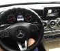 Mercedes-Benz C250 2018 - BÁN MERCEDES C250 SX 2018 - ĐĂNG KÝ 2019