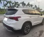 Hyundai Santa Fe 2024 - HYUNDAI SANTAFE BẢN MÁY XĂNG CAO CẤP 2024