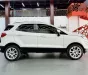 Ford Escort 2020 - Bán xe Eco Sport 1.5AT Titanium 2020 , odo:64.000km ; bao test 