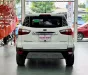 Ford Escort 2020 - Bán xe Eco Sport 1.5AT Titanium 2020 , odo:64.000km ; bao test 