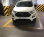 Ford EcoSport 2019 - Cần bán Ford EcoSport Ambiente 1.5AT – đời 2019
