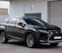Lexus RX 300 2019 - Cần bán Lexus RX 300 2019, màu đen, xe cực chất 