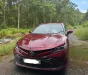 Toyota Camry 2.0 G 2020 - Cần bán Camry 2020 màu đỏ 