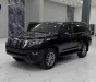 Toyota Land Cruiser Prado VX 2018 - Bán Toyota Prado VX sản xuất 2018. xe 1 chủ Hà Nội.