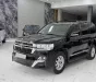 Toyota Land Cruiser 4.6 V8 2020 - Bán Toyota Land Cruiser 4.6 V8 sản xuất 2020. Xe cực đẹp.