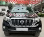 Toyota Land Cruiser Prado 2017 - Bán Toyota Prado sản xuất 2017, 1 chủ Hà Nội.