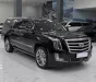 Hãng khác Xe khách khác Cadillac Escalade ESV Platinum 2016 - Bán Cadillac Escalade ESV Platinum sản xuất 2016.
