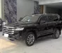 Toyota Land Cruiser LC300 2023 - Bán Toyota Land Cruiser LC300 sản xuất 2023, 1 chủ Hà Nội