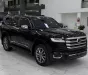 Toyota Land Cruiser LC300 2023 - Bán Toyota Land Cruiser LC300 sản xuất 2023, 1 chủ.