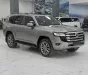 Toyota Land Cruiser LC300 2024 - Bán Land Cruiser LC300 màu Đồng, sản xuất 2024.