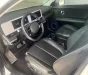 Hyundai Ioniq 2024 - Thanh lý IONIQ 5 - Pres. - màu trắng Ngọc Trinh
