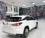 Lexus RX 300 2021 - Bán Lexus RX300 sản xuất 2021, xe chạy ít, giá cực rẻ.