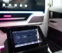Kia Carnival Royal 2022 - Carnival Royal (VIP Edition) 4 Ghế