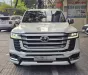Toyota Land Cruiser LC300 2021 - LC300 up full Trung Đông 