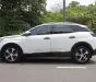 Peugeot 3008 2019 -  PeuGeot 3008 2019 Bản cao cấp cửa sổ trời toàn cảnh 02 ghế điện