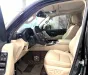 Toyota Land Cruiser LC300 2024 - Bán Land Cruiser LC300 sản xuất 2024, lên full bodykit Trung Đông.
