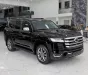 Toyota Land Cruiser LC300 2020 - Bán Land Cruiser LC300 sản xuất 2024, sơn Zin 100%.