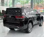 Toyota Land Cruiser LC300 2020 - Bán Land Cruiser LC300 sản xuất 2024, sơn Zin 100%.